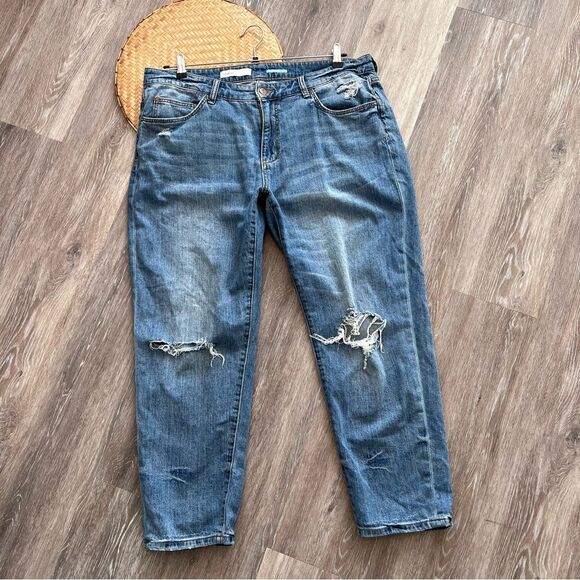 Anthropologie pilcro distressed ankle jeans plus‎ size - Picture 1 of 6